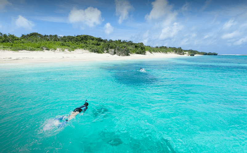 景區智慧系統支撐全域旅游的發展