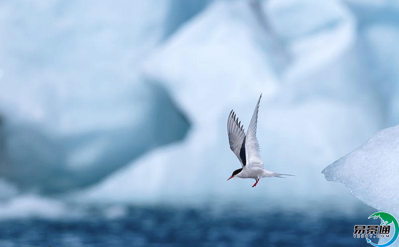 景區票務系統 旅游景區票務系統