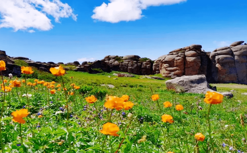 新疆吉木乃縣草原石城與易景通景區門票管理系統達成合作 新疆吉木乃縣草原石城與易景通景區門票管理系統達成合作