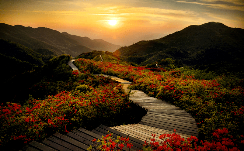 易景通與大大圍山國家森林公園達成深度合作