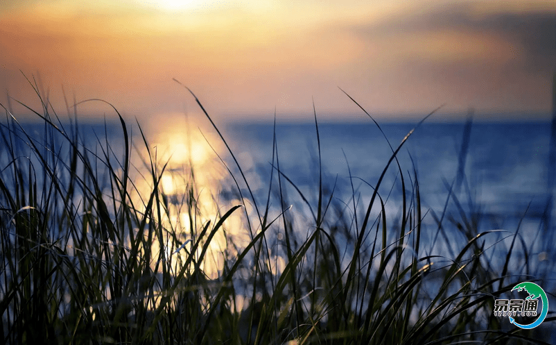 智慧景區管理系統讓管理者能夠及時準確地掌握景區情況