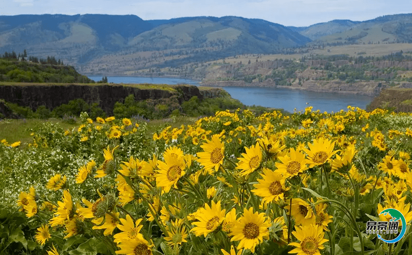 旅游票務管理系統促使景區形成較好的智慧旅游管理模式 旅游票務管理系統促使景區形成較好的智慧旅游管理模式