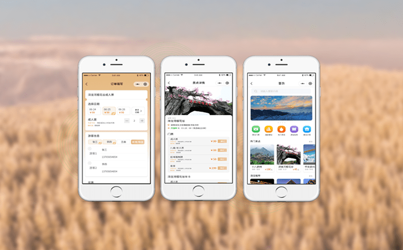 影響景區門票系統報價的關鍵因素解析