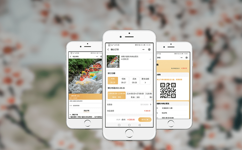 景區票務系統如何提高財務安全